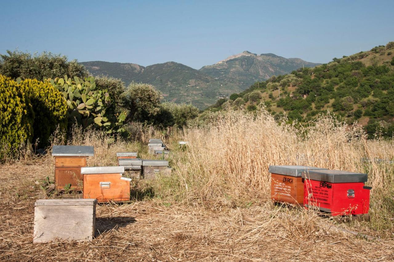 Azienda Agrituristica Bergi 카스텔부오노 외부 사진