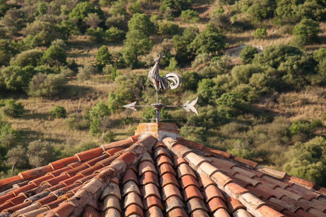 Azienda Agrituristica Bergi 카스텔부오노 외부 사진