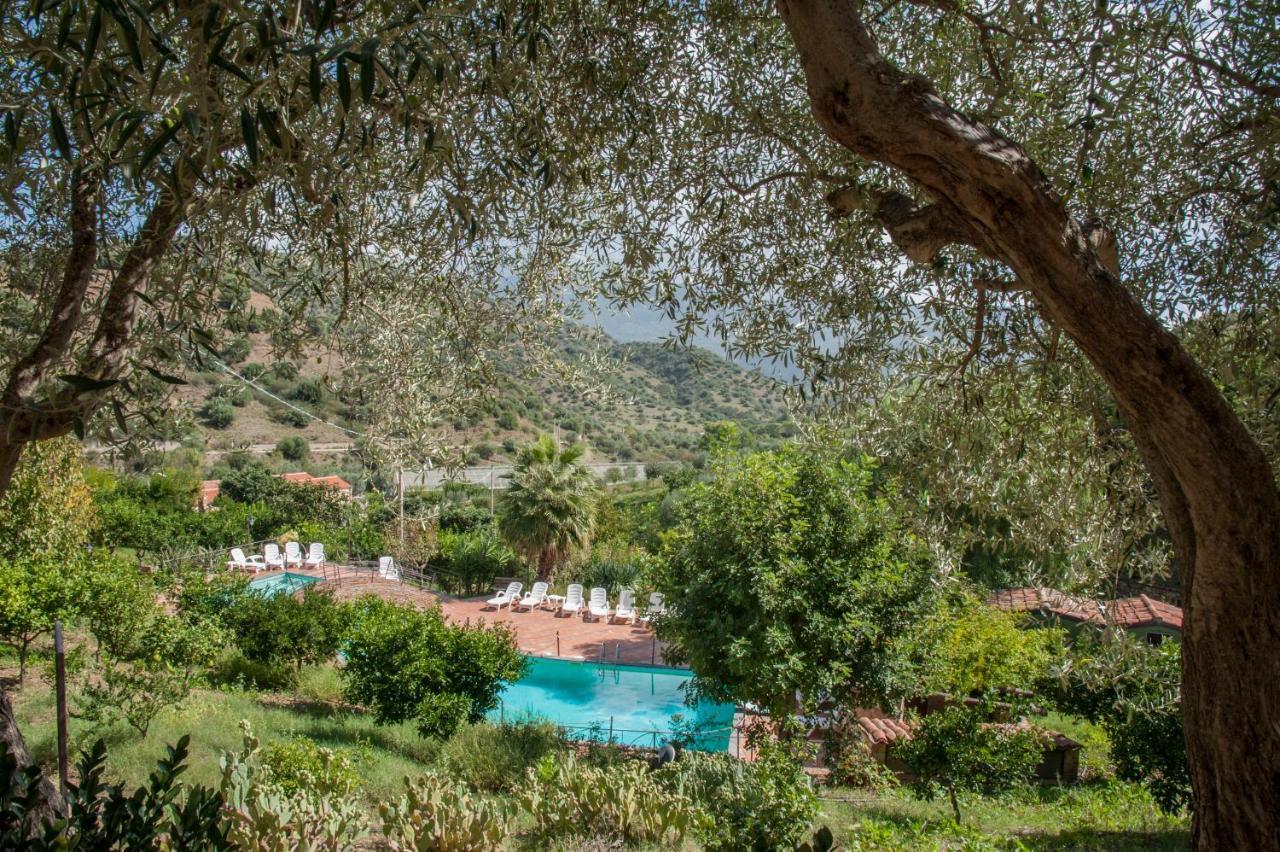 Azienda Agrituristica Bergi 카스텔부오노 외부 사진
