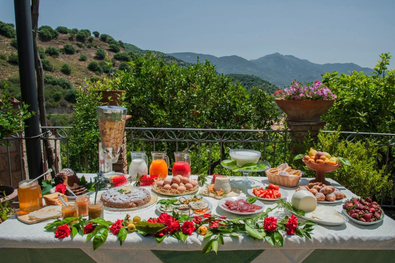 Azienda Agrituristica Bergi 카스텔부오노 외부 사진